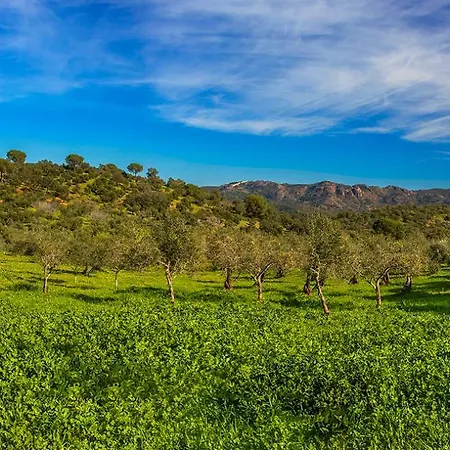 Isla Virgen * Villaviciosa de Córdoba