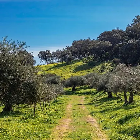 Isla Virgen Prázdninový dům Villaviciosa de Córdoba