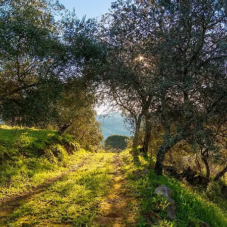 Isla Virgen Prázdninový dům Villaviciosa de Córdoba